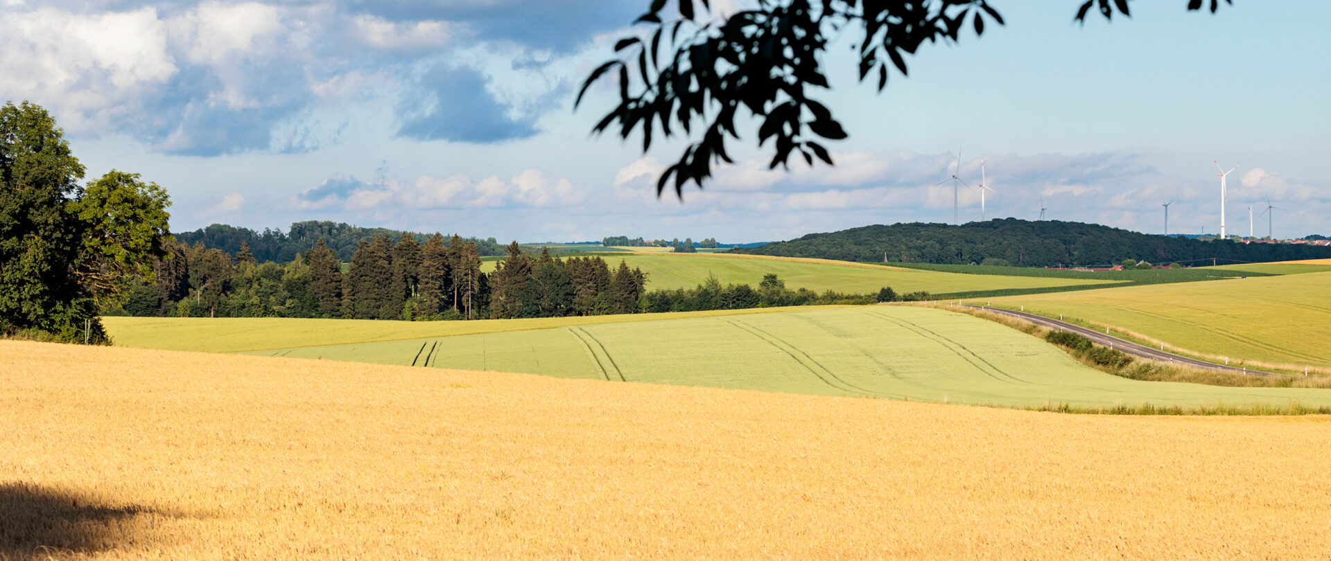 Grüne Woche 2026 in Berlin – 100‑jähriges Jubiläum der Agrarmesse