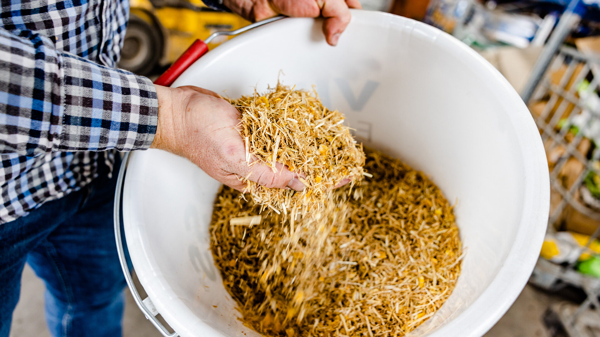 Fütterung TMR 20% Protein für Rinder – Futtermittelexperte Bischof aus Dissen, Schüttorf & Warburg