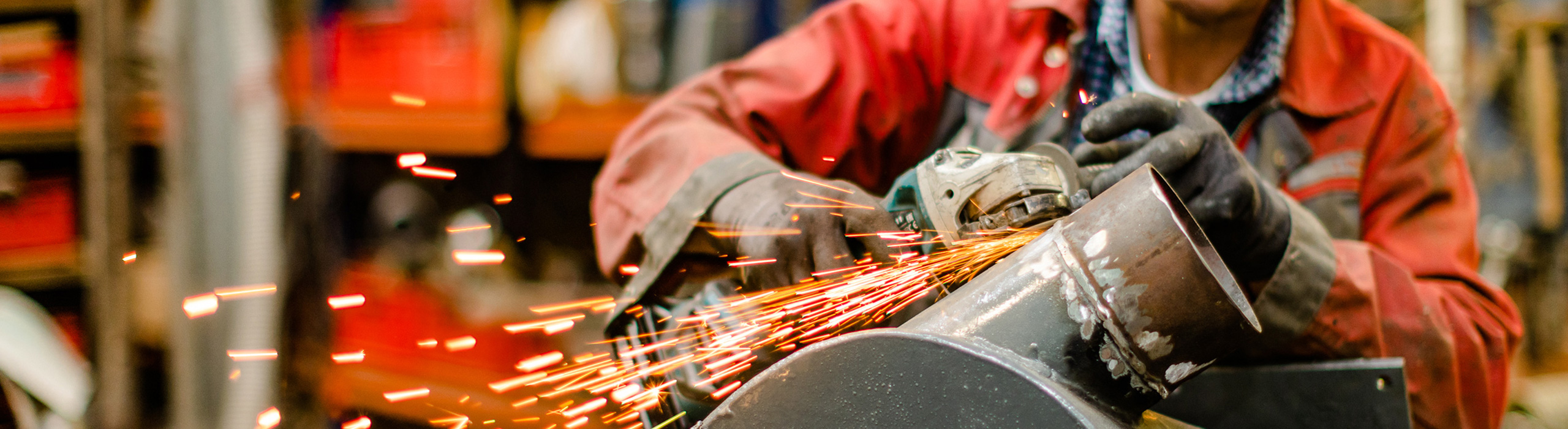 News aus dem Betrieb und der Branche – Futtermittelexperte Bischof aus Dissen, Schüttorf & Warburg